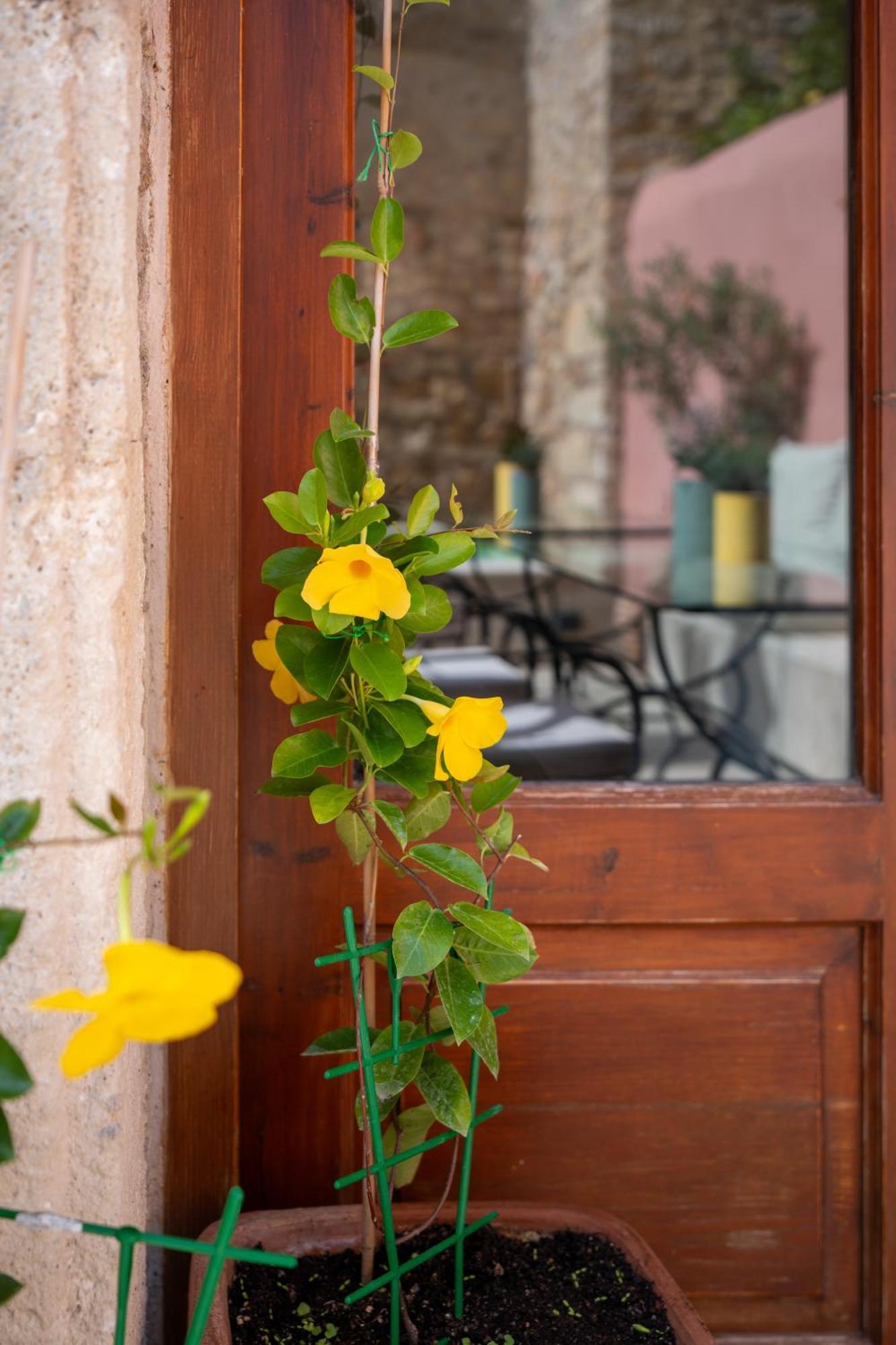 Phaedra Suites (Adults Only) Rethymno Eksteriør bilde